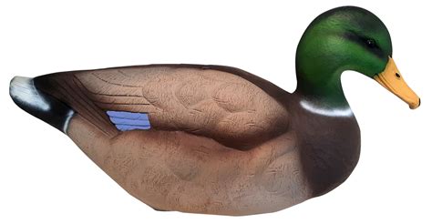 Field Mallard Decoy 6 Pack New Heavy Hauler Outdoor Gear