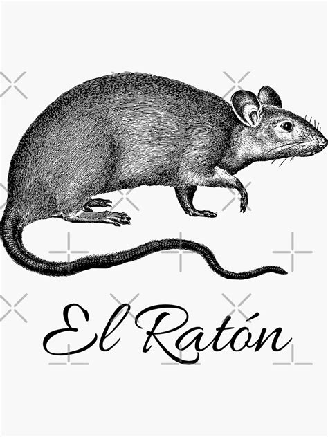 Spanish Word El Raton The Mouse Sticker For Sale By Colorfulspecks
