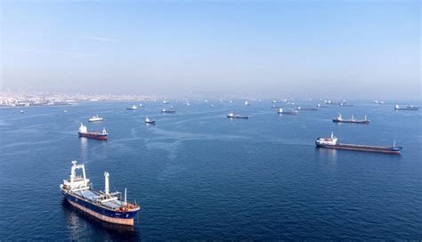 Black Sea Ship Disruption Costs Crop Exporter Millions A Month