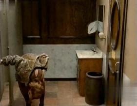 Smooth Operator Nude Scenes Aznude