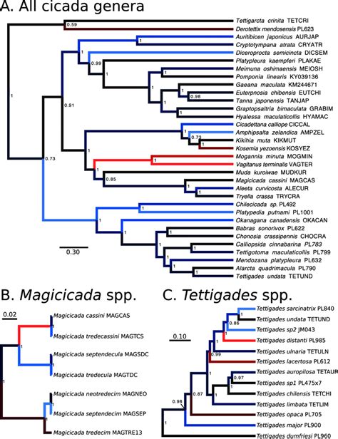 Bayesian Phylogenetic Tree Reconstruction Of Evolutionary Rates Using