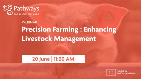 Precision Farming Enhancing Livestock Management Pathways