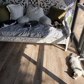 HUNTER’S KITTEN LOUNGE - Updated February 2025 - 70 Photos - 5319 E