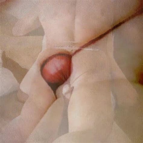 Cameltoe Sliding Free Cock Penis Porn Video 37 XHamster XHamster