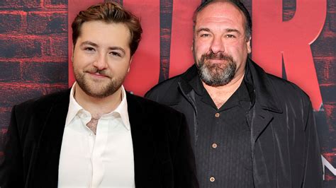 james gandolfini roles