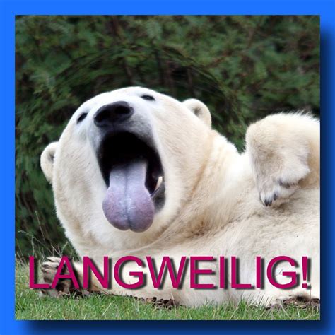 Ich hab’s (nicht zu Ende) gelesen: „Limit“ von Frank Schätzing