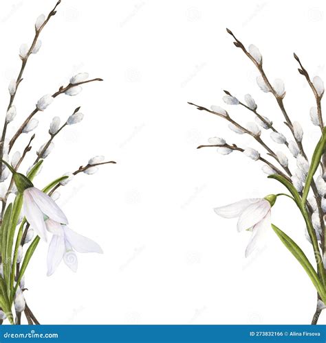 Watercolor Easter Illustration Of Pussy Willow Branches And Snowdrops