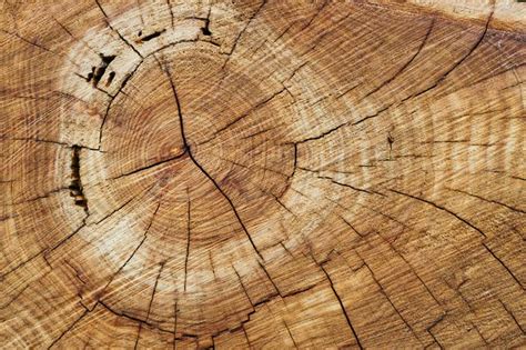 wood     architectureau