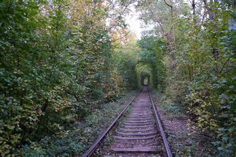 Як зараз виглядає Тунель кохання (фоторепортаж) - Блог про Львів