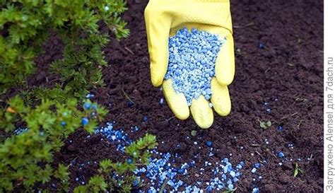 Удобрения: минеральные, бактериальные и органические удобрения