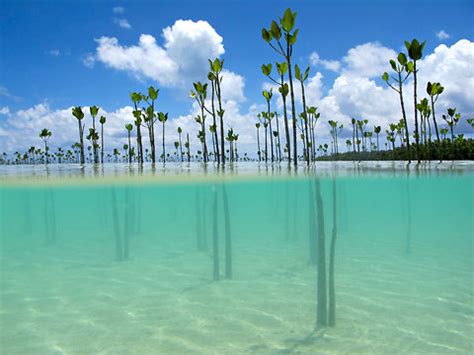 Tuvalu, made up of 9 small islands, only saw 2,000 visitors last year