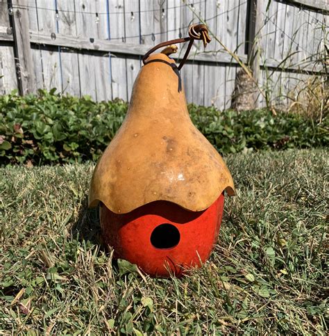 Red Apple Gourd Birdhouse with Hat 1.5" Hole - Amish Gourds