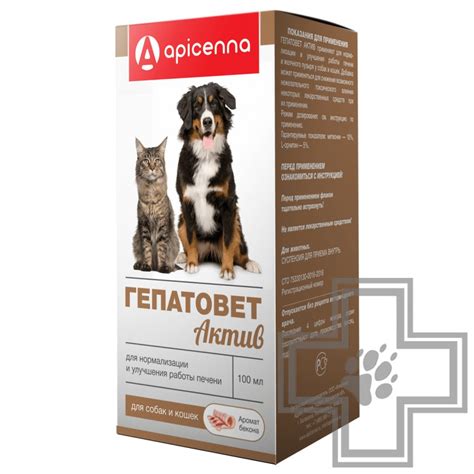 Купить Гепатовет Актив для собак и кошек - доставка, цена и наличие в ...