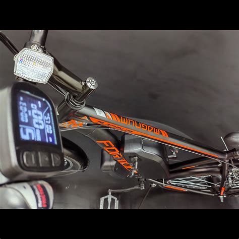 Formula Magnum 36V 350W електровелосипед з ліфепо4 акумулятором купити ...