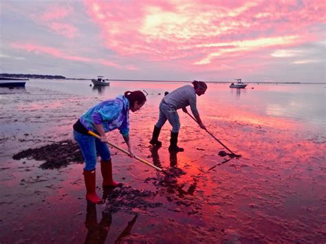 Clamming Trips Baymen Guide Service Inc And Baymen Charters