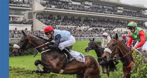 Base Quint Un Cheval En Or Pour Ce Dimanche Auteuil