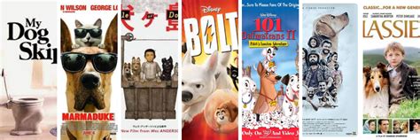 dog movies   dog lover