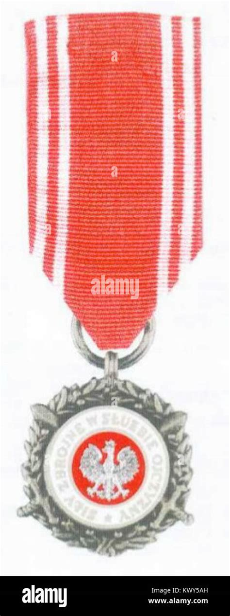 Medal Si Y Zbrojne W S U Bie Ojczyzny Srebrny Stock Photo Alamy