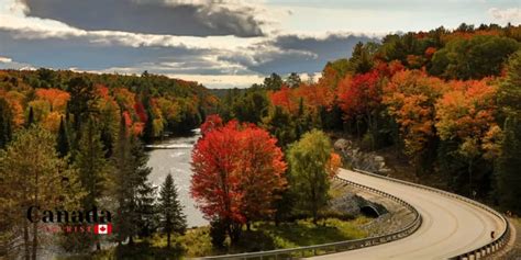 Discover Scenic Muskoka Fall Colour Routes