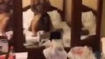 Amateur Doet Het Op Z N Hondjes PORNDROIDS