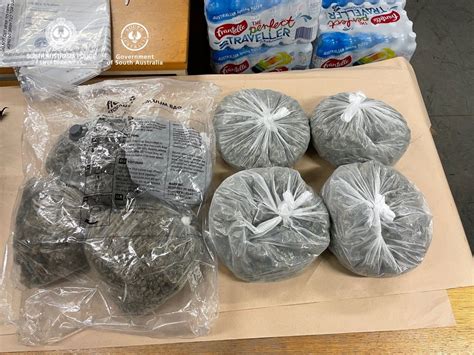 Cannabis found in hotel room raids | Mirage News