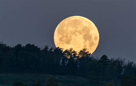 Durante La Noche Del Viernes Se Podr Ver En El Cielo La Luna De Lobo