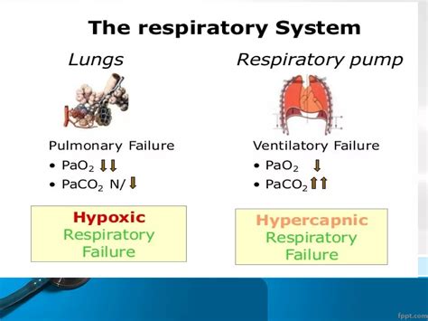 Type 1 Respiratory Failure And Type 2 2
