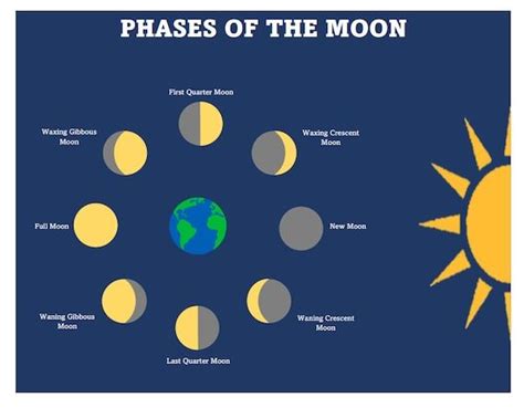 Printable Moon Phase Chart Home School Chart for the Moon - Etsy | Moon ...