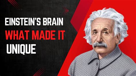 The Unique Characteristics Of Einstein S Brain YouTube