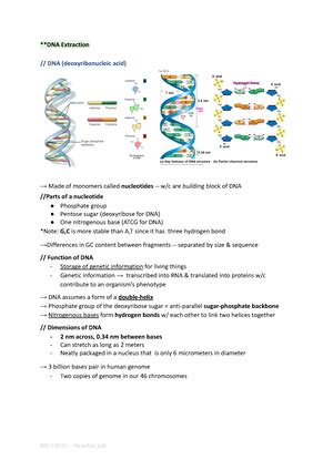 Drosophila Genetics Lecture Notes About Sex Linked Trait And How Such Is Passed Of From One