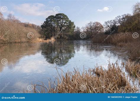 The Ornamental Lake Southampton Common Stock Image Image Of Water