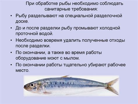 Переработка рыбного сырья. Пищевая ценность рыбы. Механическая и ...