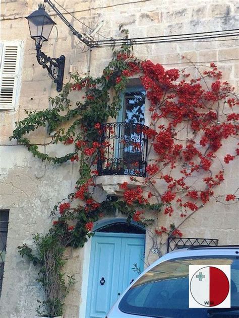 Bougainvillea Adorning The Facade Of An Old House In The Upper Part Of