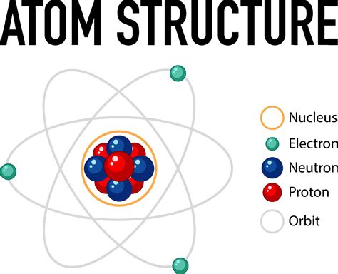 diagram  atom structure  vector art  vecteezy
