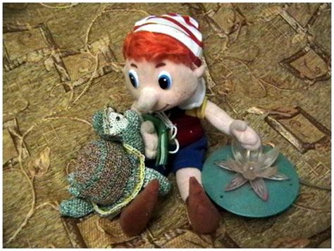 Черепаха ТОРТИЛЛА - 34 фото. Сообщество БУРАТИНО РАЗ - группы Мой Мир.