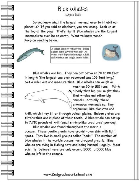 Text Features Examples 3rd Grade