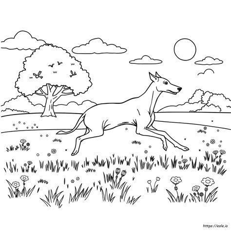 How to properly use the bustracker greyhound 11