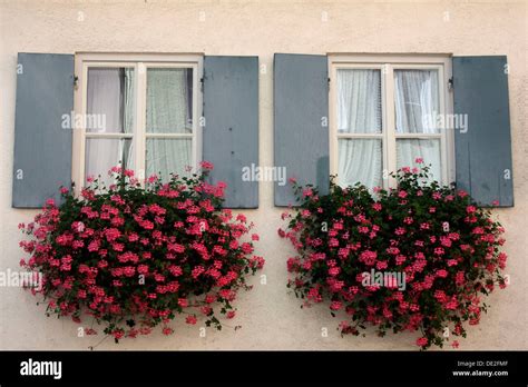 Windows With Flower Boxes Stock Photo Alamy