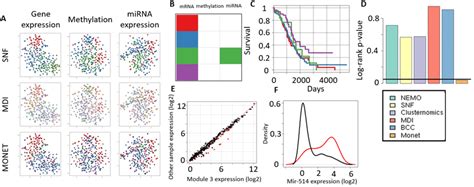 Analysis Of Ovarian Cancer A T Sne Visualization Of The Solutions