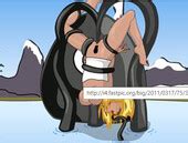 Siterip Swissmade Sex By Swiss Made