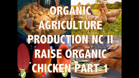 Updated Oap Nc Ii Reviewer Organic Agriculture Production Nc Ii