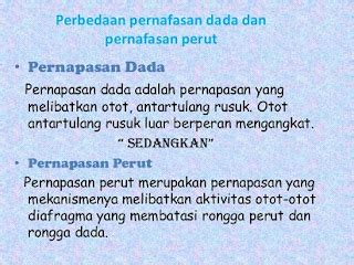 perbedaan pernapasan dada  perut  badan kita
