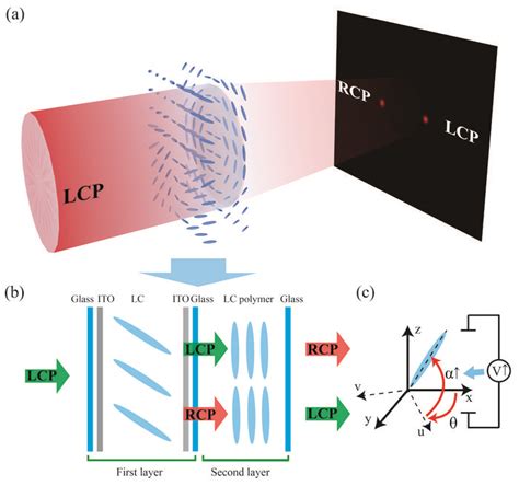 schematic diagram  bifocal  image eurekalert science news releases