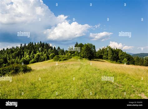 Pieniny Mountains In Summer Stock Photo Alamy