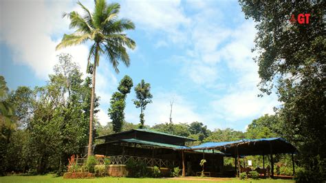 This Eco Farm In Goa Is A Treat For The Sensesnv Eco Farmsgomantak Times