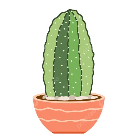 Cactus Suculento En Maceta Png Planta Suculenta En Maceta Planta De Cactus En Maceta Cactus