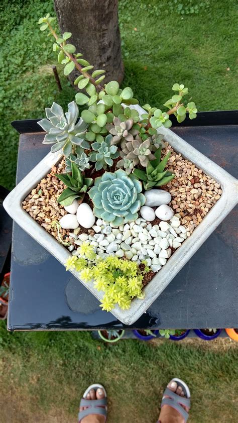 hungry man tv dinner 5