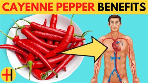 Top 12 Amazing Health Benefits Of Cayenne Pepper Cayenne Pepper Capsaicin Benefits Youtube