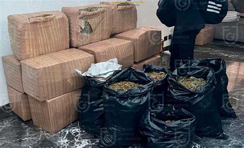 Golpe al narco en CDMX decomisaron 200 kilos de drogas en alcaldía