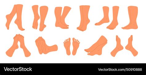 Naked Feet Different Angles And Positions Vector Image